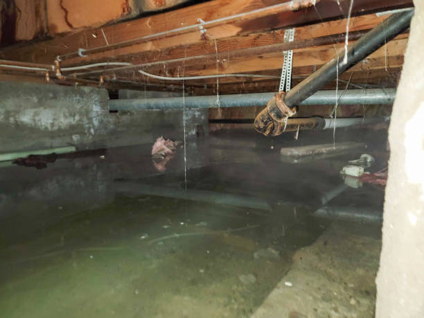 Best Water damage restoration services  in New Deal, TX