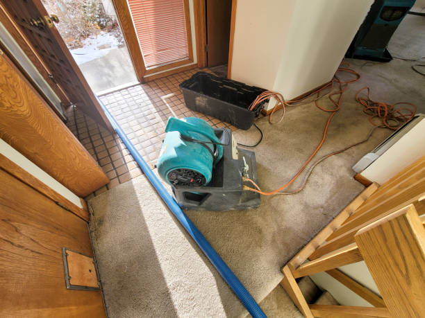 Best Commercial water damage restoration  in New Deal, TX