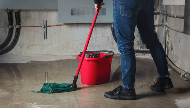 Best Water damage restoration specialists  in New Deal, TX
