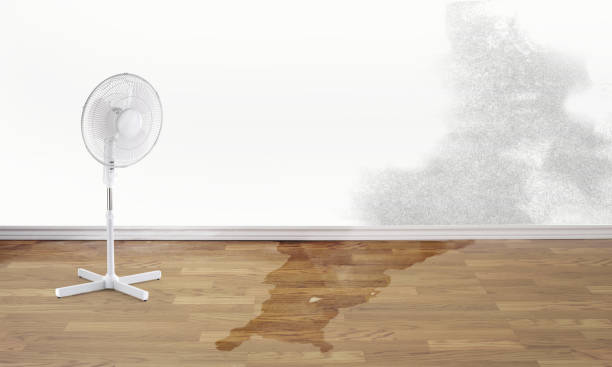 Best Basement water damage restoration  in New Deal, TX