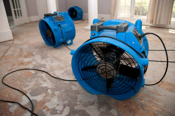 Best Commercial water damage restoration  in New Deal, TX